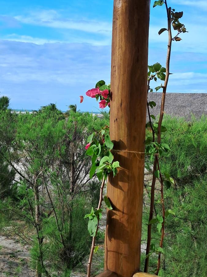 Beekite Wind Village Luís Correia Exterior foto